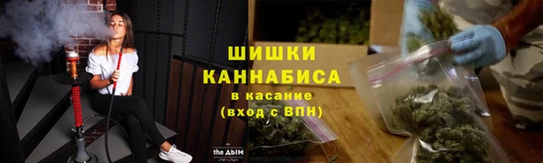 стафф Богородицк