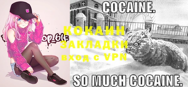 стафф Богородицк