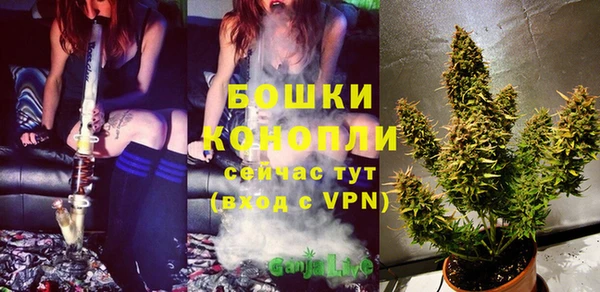 стафф Богородицк
