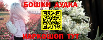 спиды Владимир
