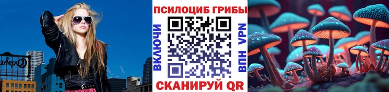 Галлюциногенные грибы Psilocybine cubensis  Верхняя Салда 